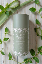 Desodorante de aloe vera y menta